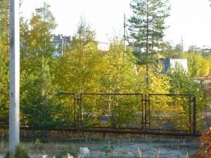 Краски осени в посёлке Вынгапуровский