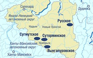 Карта Вынгапуровского месторождения