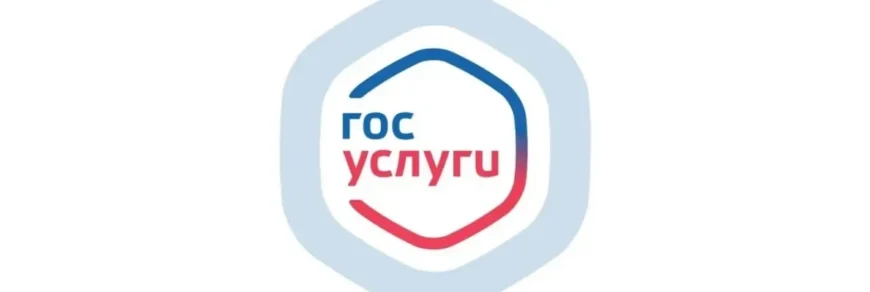 В Госуслугах появилась функция проверки SIM-карт